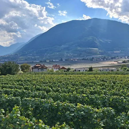 Panoramablick Ruhig Gelegen Merano
