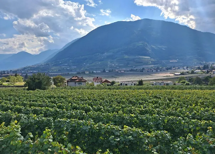 Panoramablick Ruhig Gelegen Merano